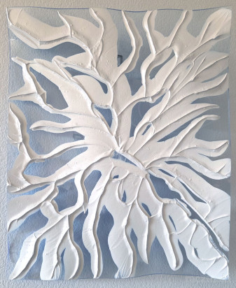 bleuet 1