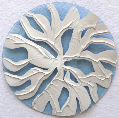 bleuet 6